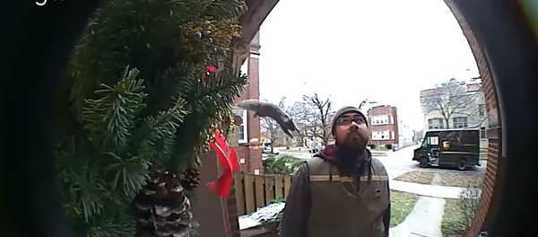 Windy City Welcome? Chicago Squirrel Gets Up Close & Personal With UPS Man Windy City Welcome? Chicago Squirrel Gets Up Close & Personal With UPS Man - Sputnik International