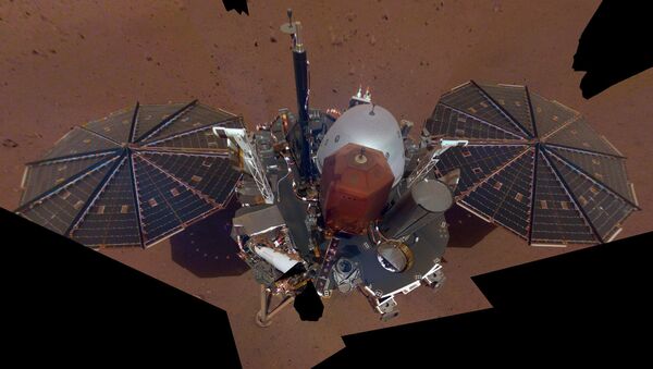 This is NASA InSight's first selfie on Mars. It displays the lander's solar panels and deck. On top of the deck are its science instruments, weather sensor booms and UHF antenna. The selfie was taken on Dec. 6, 2018 - Sputnik International