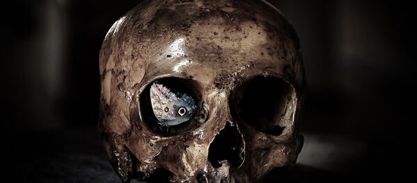 Skull  - Sputnik International