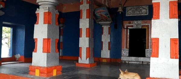 Dog sits inside Naradagadde Hindu temple in Karnataka - Sputnik International