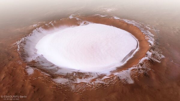 Perspective view of Korolev crater - Sputnik International