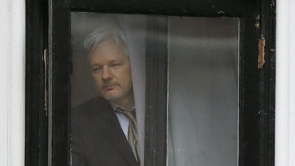 Wikileaks founder Julian Assange - Sputnik International