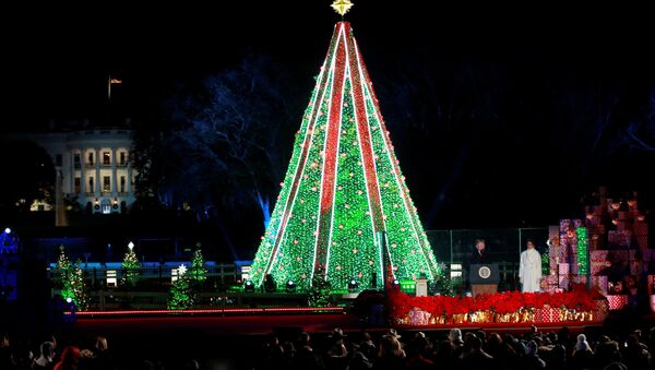 Annual National Christmas Tree Lighting Ceremony in Washington - Sputnik International