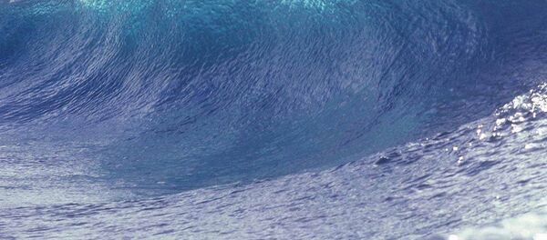 Tsunami - Sputnik International