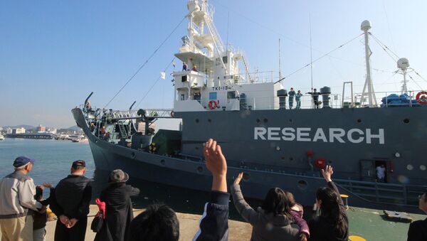 (FILES) In this file photo taken on December 1, 2015, a Japanese whaling ship leaves the port of Shimonoseki in Yamaguchi prefecture, western Japan to resume whale hunting in the Antarctic. - Sputnik International