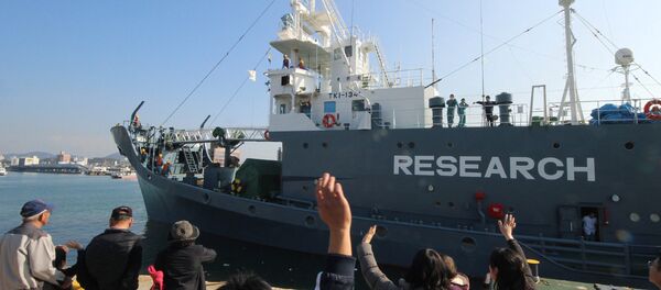 (FILES) In this file photo taken on December 1, 2015, a Japanese whaling ship leaves the port of Shimonoseki in Yamaguchi prefecture, western Japan to resume whale hunting in the Antarctic. - Sputnik International
