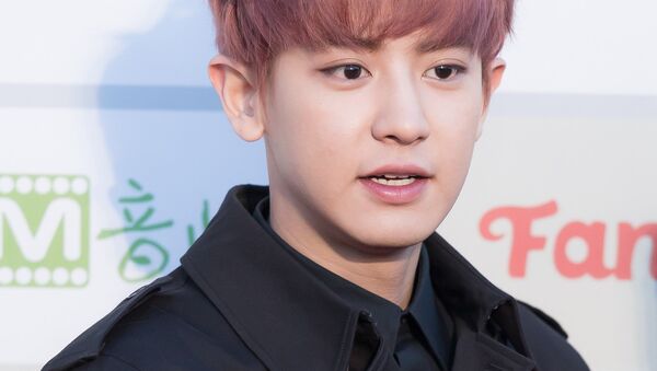 Park Chan-yeol at Gaon Chart K-pop Awards red carpet, on February 17, 2016 - Sputnik International