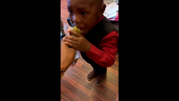 Boy eats pickle - Sputnik International