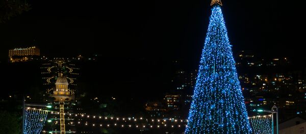 Spruce Tree, Haifa Spruce Tree, Haifa - Sputnik International