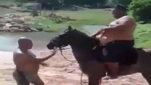 Man Tries to Ride a Horse - Sputnik International