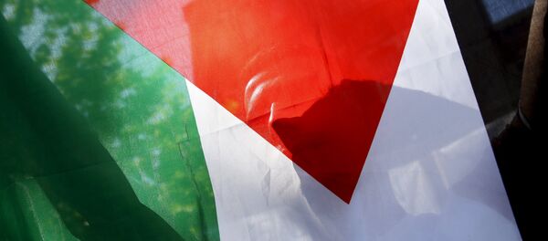 A Palestinian refugee holds the flag of Palestine during a protest in Madrid, Spain, July 21, 2015 A Palestinian refugee holds the flag of Palestine during a protest in Madrid, Spain, July 21, 2015 - Sputnik International