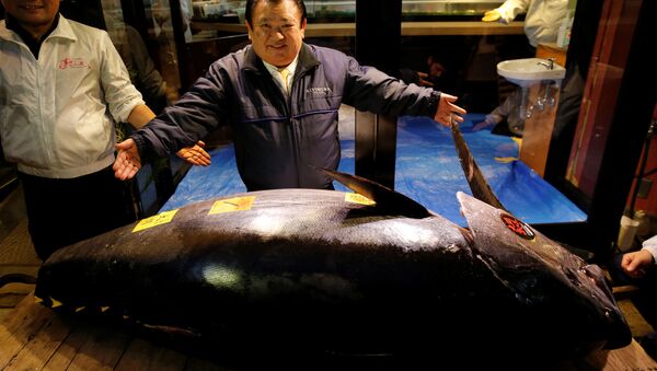 Kiyoshi Kimura Stands Next to 278kg Bluefin Tuna - Sputnik International