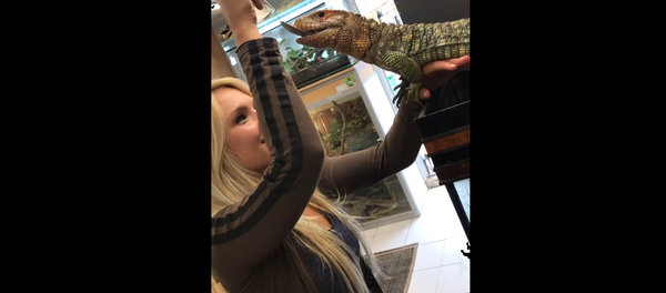 Breakfast for Iguana - Sputnik International