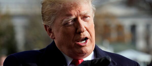 U.S. President Donald Trump talks to the media on the South Lawn of the White House in Washington before his departure for the annual Army-Navy college football game in Philadelphia, U.S., December 8, 2018. REUTERS/Yuri Gripas/File Photo - Sputnik International