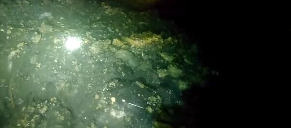 Monster fatberg Monster fatberg - Sputnik International