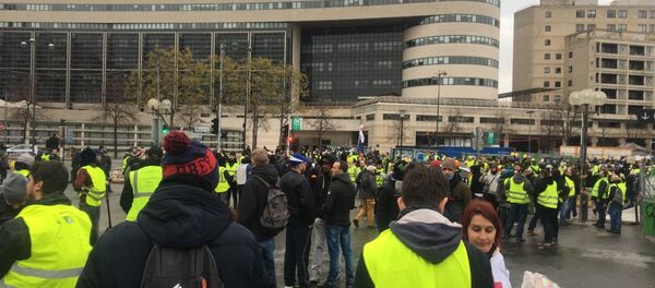 Acte 9: Gilets jaunes à Paris le 12 janvier 2019 Acte 9: Gilets jaunes à Paris le 12 janvier 2019 - Sputnik International