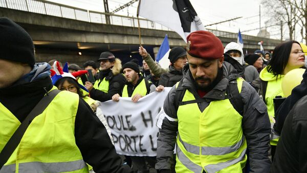 Yellow Vests protest in Paris. 12 January - Sputnik International