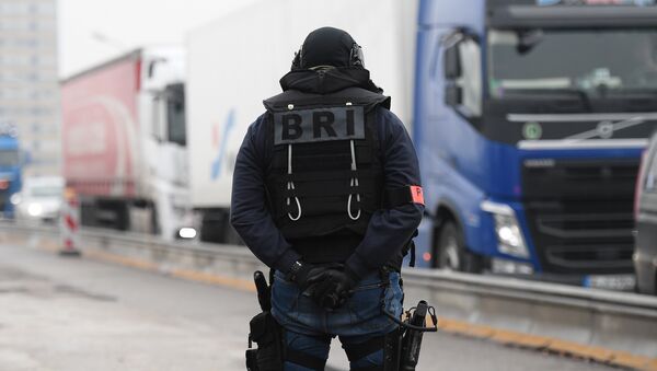 A member of the French police unit BRI (Research and Intervention Brigade - Brigades de recherche et d'intervention) stands guard at the border with Germany in Strasbourg, on December 12, 2018, as part of searches in order to find the gunman who opened fire near a Christmas market the night before, in Strasbourg, eastern France. - Sputnik International