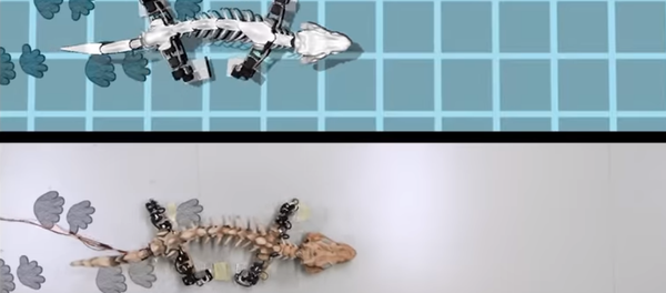 Bringing a Fossil to Life - Sputnik International