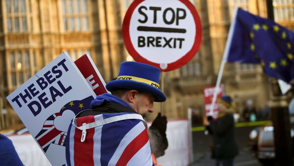 An anti-Brexit protester walks outside the Houses of Parliament in London, Britain January 17, 2019 - Sputnik International