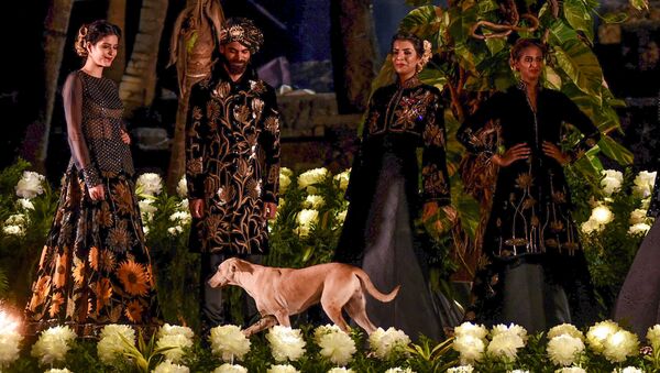 Indian models showcase a spring summer collection 'Gul-Dastah' by designer Rohit Bal at the Blenders Pride Fashion Tour in Mumbai on January 16, 2019 - Sputnik International