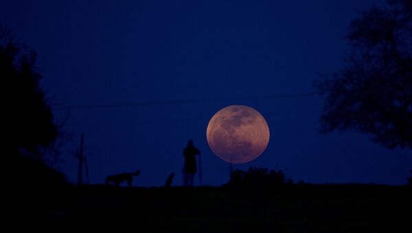 A person and a dog watch as the super blue blood moon rises over Michmoret, Israel, Wednesday, Jan. 31, 2018 - Sputnik International