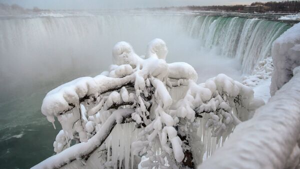 Ice and snow cover branches near the brink of the Horseshoe Falls, due to subzero temperatures in Niagara Falls, Ontario, Canada  January 22, 2019 - Sputnik International