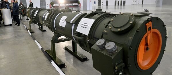 Demonstration of rocket 9M729 for military attaches - Sputnik International