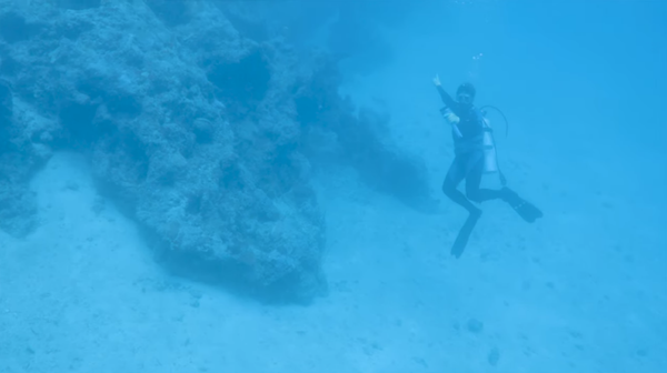 Local diver points toward aircraft suspected of being Amelia Earhart's Lockheed Electra 10E Local diver points toward aircraft suspected of being Amelia Earhart's Lockheed Electra 10E - Sputnik International