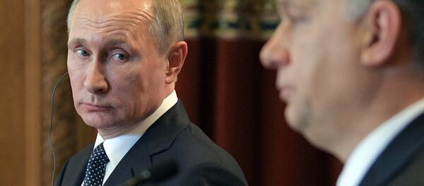 Russian President Vladimir Putin holds press conference with Hungarian Prime Minister Viktor Orban on February 2, 2017 - Sputnik International