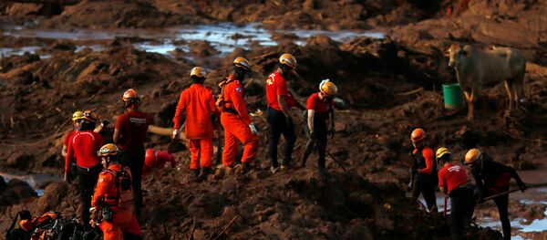 Members of a rescue team search for victims after a tailings dam owned by Brazilian mining company Vale SA collapsed, in Brumadinho, Brazil January 28, 2019 - Sputnik International