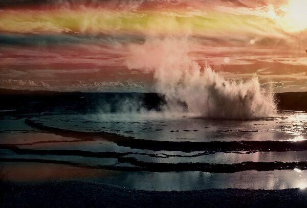 From ‘Penis Fish’ to ‘Roaches Fed Moon Rock’: Five of the Most Bizarre Science Stories of 2019 - Sputnik International