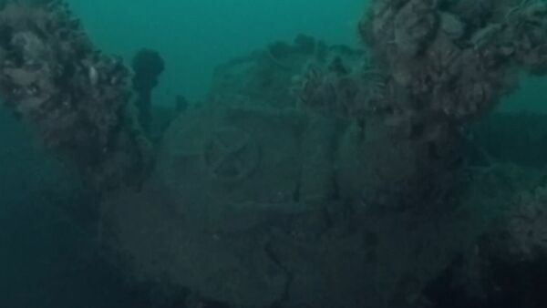Hitler's Lost U-boat Flotilla Found in Black Sea - Sputnik International