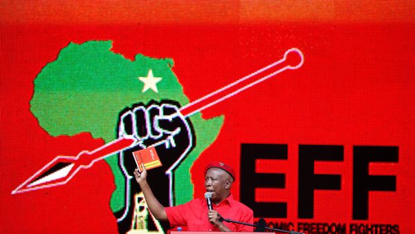 President of South Africa's radical left-wing party, the Economic Freedom Fighters (EFF), Julius Malema, holds a copy of the party's election manifesto in Soshanguve, near Pretoria, South Africa February 2, 2019 - Sputnik International