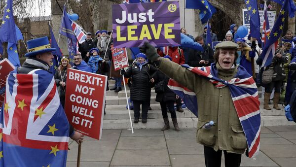 A pro-leave supporter, right, hods a placard in front of a group of pro-remain supporters during demonstrations in London, Tuesday, Jan. 29, 2019. Britain's Parliament is set to vote on competing Brexit plans, with Prime Minister Theresa May desperately seeking a mandate from lawmakers to help secure concessions from the European Union. - Sputnik International