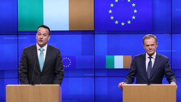 EU Council President Donald Tusk and Irish Prime Minister Leo Varadkar give statements after a meeting at the European Council headquarters in Brussels, Belgium February 6, 2019. - Sputnik International