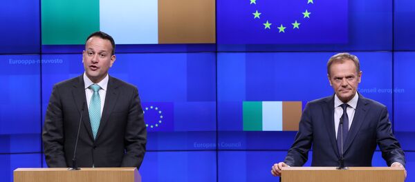 EU Council President Donald Tusk and Irish Prime Minister Leo Varadkar give statements after a meeting at the European Council headquarters in Brussels, Belgium February 6, 2019. - Sputnik International
