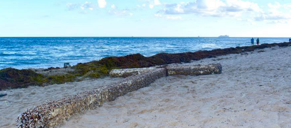 Giant Cross Washes Ashore Florida Beach Giant Cross Washes Ashore Florida Beach - Sputnik International