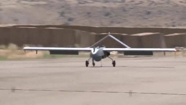 RQ-7 Shadow tactical unmanned air systems - Sputnik International