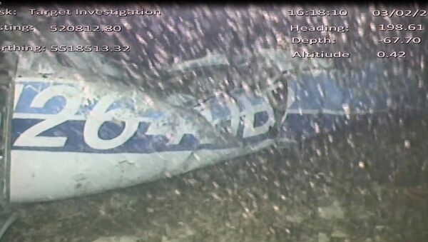 In this image released Monday Feb. 4, 2019, by the UK Air Accidents Investigation Branch (AAIB) showing the rear left side of the fuselage including part of the aircraft registration N264DB that went missing carrying soccer player Emiliano Sala, when it disappeared from radar contact on Jan. 21 2019. - Sputnik International