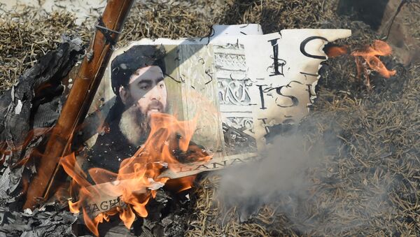 Indian Shiite Muslim demonstrators burn an effigy of the Islamic State group (ISIS) leader Abu Bakr al-Baghdadi during a protest in New Delhi on June 9, 2017 - Sputnik International