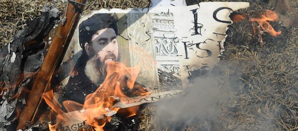 Indian Shiite Muslim demonstrators burn an effigy of the Islamic State group (ISIS) leader Abu Bakr al-Baghdadi during a protest in New Delhi on June 9, 2017 Indian Shiite Muslim demonstrators burn an effigy of the Islamic State group (ISIS) leader Abu Bakr al-Baghdadi during a protest in New Delhi on June 9, 2017 - Sputnik International