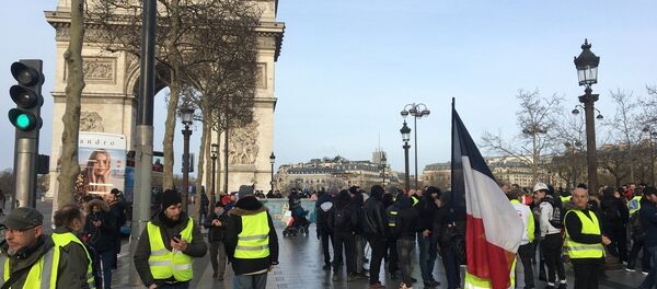 13th Consecutive Yellow Vests Rally in Paris - Sputnik International
