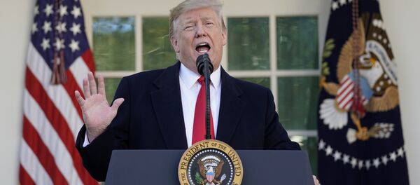 US President Donald Trump US President Donald Trump - Sputnik International