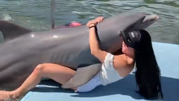 Dolphin Surprises a Girl - Sputnik International