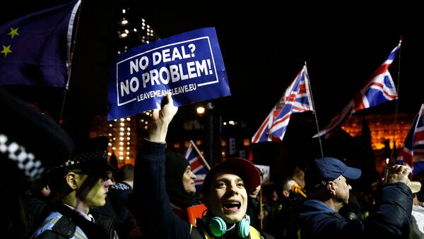Pro-Brexit protesters demonstrate outside the Houses of Parliament - Sputnik International