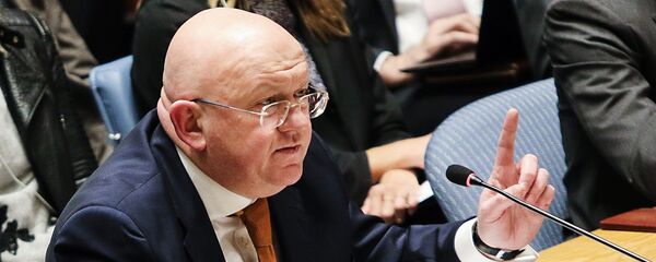 Russia's Permanent Representative to the United Nations Vasily Nebenzya speaks at an open meeting of the UN Security Council in New York - Sputnik International