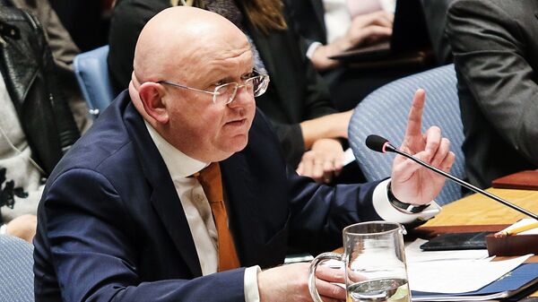 Russia's Permanent Representative to the United Nations Vasily Nebenzya speaks at an open meeting of the UN Security Council in New York - Sputnik International