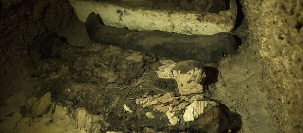 Mummies and other artifacts lie in a recently discovered burial chamber in the desert province of Minya, south of Cairo, Egypt, Saturday, Feb. 2, 2019 - Sputnik International