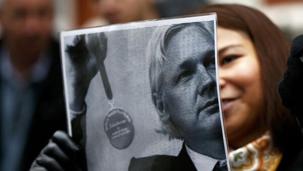 A supporter of Julian Assange holds a poster after prosecutor Ingrid Isgren from Sweden arrived at Ecuador's embassy to interview him in London - Sputnik International